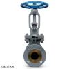 Steel Globe valve 150# 300# 600# | KP