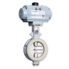Nodular Cast Iron Tomoe Butterfly Valve for Food | KP-1060 SEP