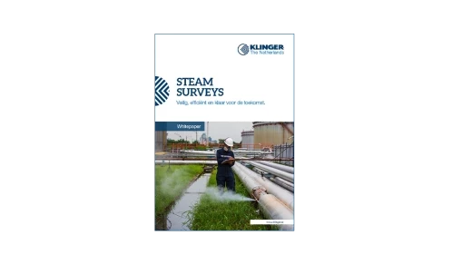 front side whitepaper steam surveys tbv download 61dd6webp 520x292
